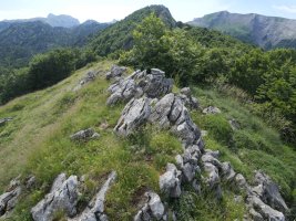 Lazagorria tontorra, atzean Lapazarra duela