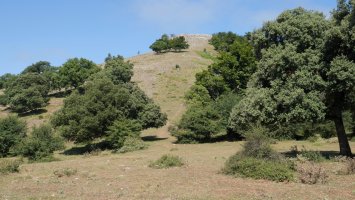 Gaztelu, azken txanpa ekialdetik