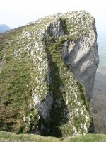 Mendebaldeko gandorrako pasarte bat