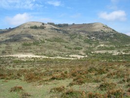 Zoiolagaña hegoaldetik, Elimendiko hegitik