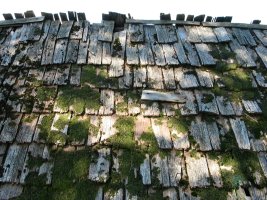 Ernagako borda txikia, zurezko oholekin egindako teilatua duena