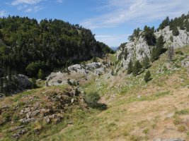 Larreria aldeko bidea