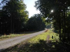 Gaztanbidea eta Osabako Gurutzearen arteko lepoa
