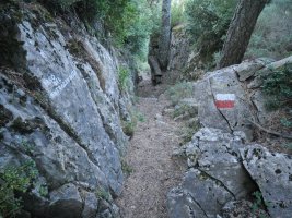 Kontrabandisten pasabidea