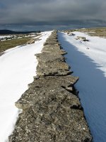 Harresia elur artean