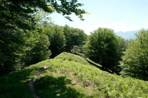 Bi gainen arteko bizkarreko pasarte bat