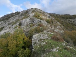 Amorleku aldeko bizkarra