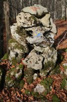 Tontorreko harripila, Saldisgain