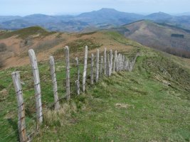 IEko bizkarreko hesia