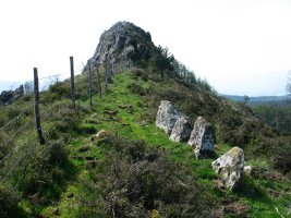 Tontorra ekialdeko bizkarretik
