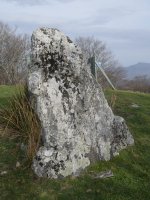 Bidango Gaina zutarria