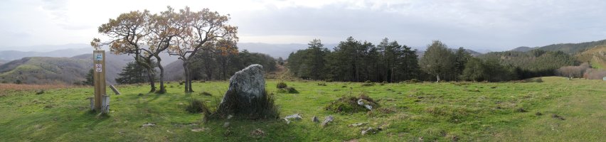 Bidango Gaina tontorra