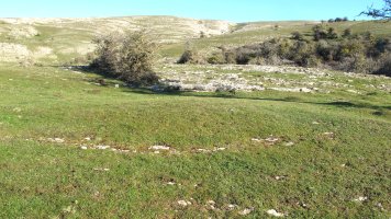 Anuelen 1 tumulua, Andia