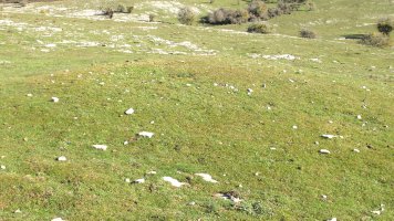 Iguzpegi 4 etxola hondoa, Andia