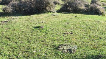 Iguzpegi 8 etxola hondoa, Andia