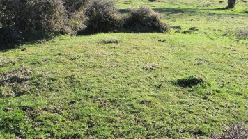 Iguzpegi 8 etxola hondoa, Andia