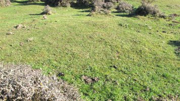 Iguzpegi 7 etxola hondoa, Andia