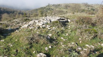 Usaleze 2 tumulua, Andia