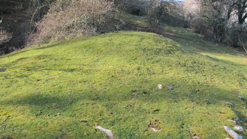 Usaleze 1 tumulua, Andia