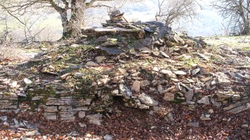 Monosarios 1 tumulua, Andia