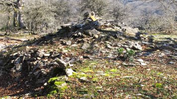 Monosarios 1 tumulua, Andia