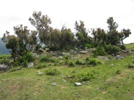 Dólmen Elgea III (Elgeamendi)  Junio 2013