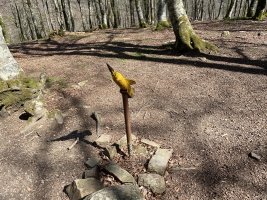 Buzoia Mendebaldeko Tontorran