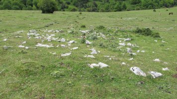 Ingiri 8 tumulua, Andia