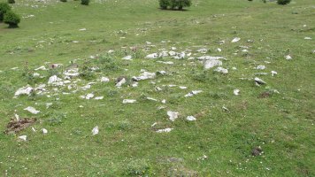 Ingiri 8 tumulua, Andia