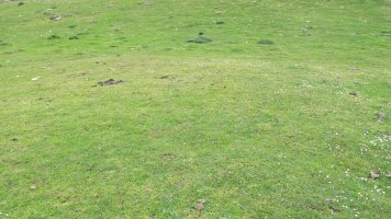 Elorribakarra etxola hondoa, Andia