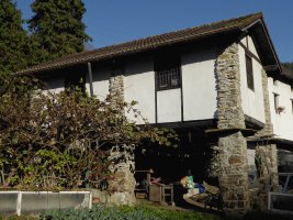 Gorotzenea garaia, Alegia