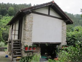 Gorotzenea garaia, Alegia