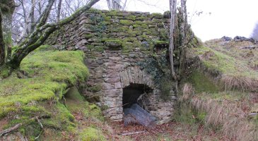 Irantzuko karobia, Berastegi