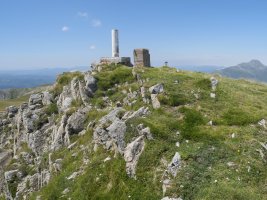 Otsogorrigaina tontorra