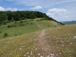 Santa Teodosia aldetik Txandira igotzen den bidea