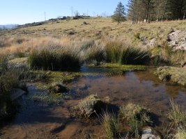 Usabelartzako errekastoa