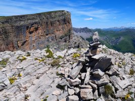 Sayéstico tontorreko harripila