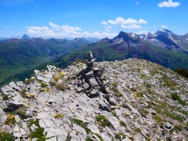 Sayéstico tontorreko harripila