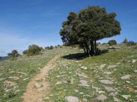 Etxauriko Haitza, ekialdeko igoerako pasarte bat