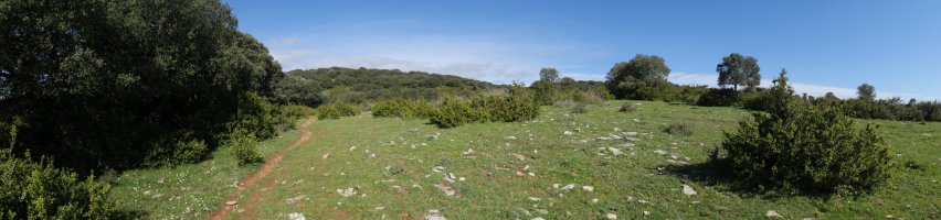 Ekialdeko bizkarreko bidea, Etxauriko Haitza