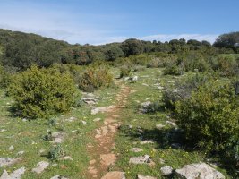 Ekialdeko bizkarreko bidea, Etxauriko Haitza