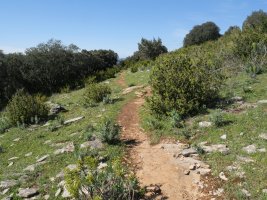 Ekialdeko bizkarreko bidea, Etxauriko Haitza