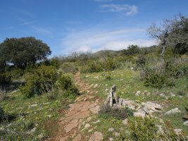 Ekialdeko bizkarreko bidea, Etxauriko Haitza