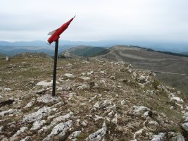 Txartelontzia tontorrean, Arriaundi