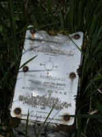 Armendiaga trikuharria, plaka zaharra