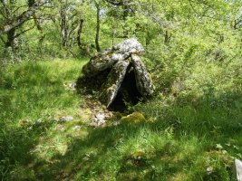 Armendiaga trikuharria, Aralar