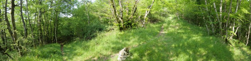 Igoerako pasarte bat, Mendurro