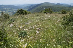 El Rancho tumulua, Etxauriko Haitzaren ekialdeko bizkarrean