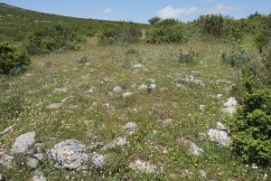 El Rancho tumulua, Etxauriko Haitzaren ekialdeko bizkarrean