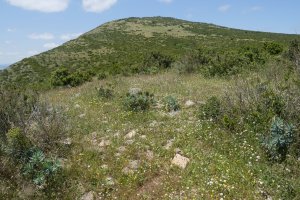 El Rancho tumulua, Etxauriko Haitzaren ekialdeko bizkarrean